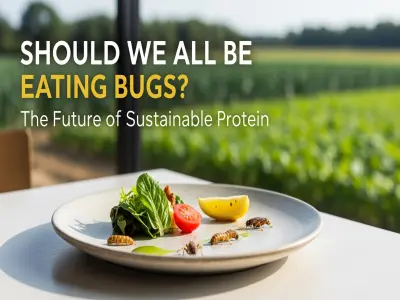 Should We All Be Eating Bugs? The Future of Sustainable Protein